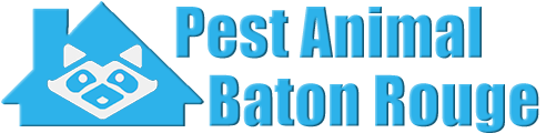 Baton Rouge Wildlife and Animal Removal